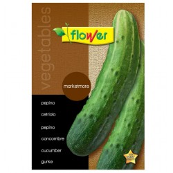 Semillas pepino marketmore