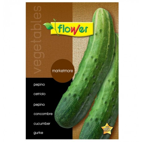 Semillas pepino marketmore