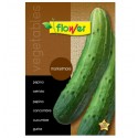 Semillas pepino marketmore