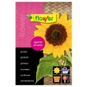 Semillas de Girasol amarillo
