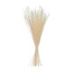 Ramo seco floral beige surtido