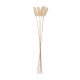 Ramo seco floral beige surtido