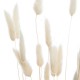 Ramo seco floral beige surtido