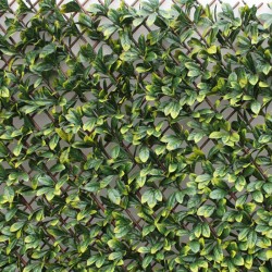 Seto celosía extensible Laurel 1x2m