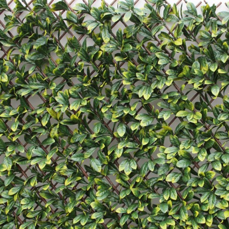 Seto celosía extensible Laurel 1x2m