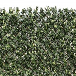 Seto celosía extensible Ciprés 1x2m