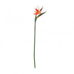 Caña tallo artificial decorativo de PVC Ave del Paraíso 23x1x83cm