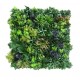 Seto enlazable 100x100 Vergel premium