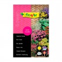 Semillas flores para rocalla multicolor