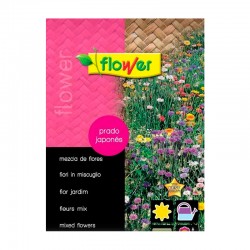 Semillas flores cesped japonés