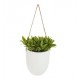 Planta artificial colgante de pared 23cm