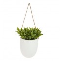 Planta artificial colgante de pared 23cm
