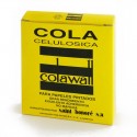 Cola papel pintado WALL 125g