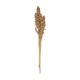 Tallos secos florales surtido