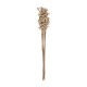 Tallos secos florales surtido