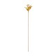 Tallos secos florales surtido