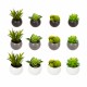 Mini planta decorativa con imán 6cm