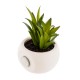 Mini planta decorativa con imán 6cm
