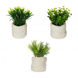Maceta de cemento con bolsa y planta