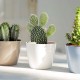 Maceta San Remo blanco con ruedas 30cm