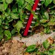 Cortasetos inalámbrico 18V sin batería Arcurra Einhell