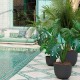 Maceta Havana natural volcán 20cm