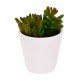 Planta artificial de polipropileno en maceta blanca 7,5x15cm