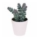 Planta artificial de polipropileno en maceta blanca 7,5x15cm
