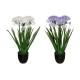 Planta agaphantus artificial en maceta negra 61x68cm
