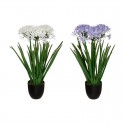Planta agaphantus artificial en maceta negra 61x68cm