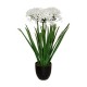 Planta agaphantus artificial en maceta negra 61x68cm