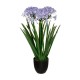 Planta agaphantus artificial en maceta negra 61x68cm