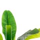 Planta doble platanero artificial en maceta negra 122x119x130cm