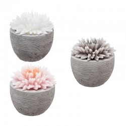 Vela de cera con forma de flor en maceta de cemento 9x10cm