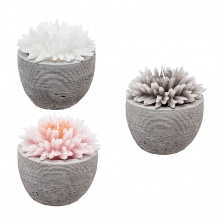 Vela de cera con forma de flor en maceta de cemento 9x10cm