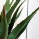 Palmera tropical artificial con maceta 73cm