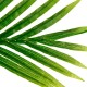 Palmera artificial decorativa en maceta negra