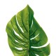 Varilla de hoja philo monstera de poliéster/plástico/hierro 95cm