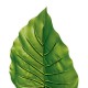 Varilla de hoja philo monstera de poliéster/plástico/hierro 95cm