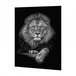 Cuadro alto brillo León 80x120cm
