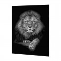 Cuadro alto brillo León 80x120cm