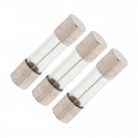 Fusible de cristal 5x20mm 10A 3uds.