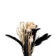 Jarrón de vidrio con flores secas 10x13-27cm