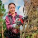 Sierra podadora inalámbrica GE-PS 18/15 Li BL-Solo Einhell