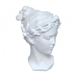 Cabeza Venus resina