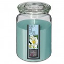 Vela perfumada flor tahiti en tarro de cristal con tapa 10x14cm
