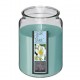 Vela perfumada flor tahiti en tarro de cristal con tapa 10x14cm