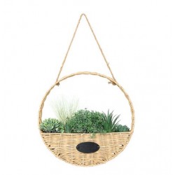 Planta colgante diám. 40 cm con maceta artificial
