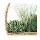 Planta colgante diám. 40 cm con maceta artificial