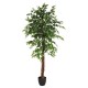 Ficus con maceta 180cm